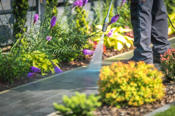 Best Gutter Cleaning  in Beaumont, CA